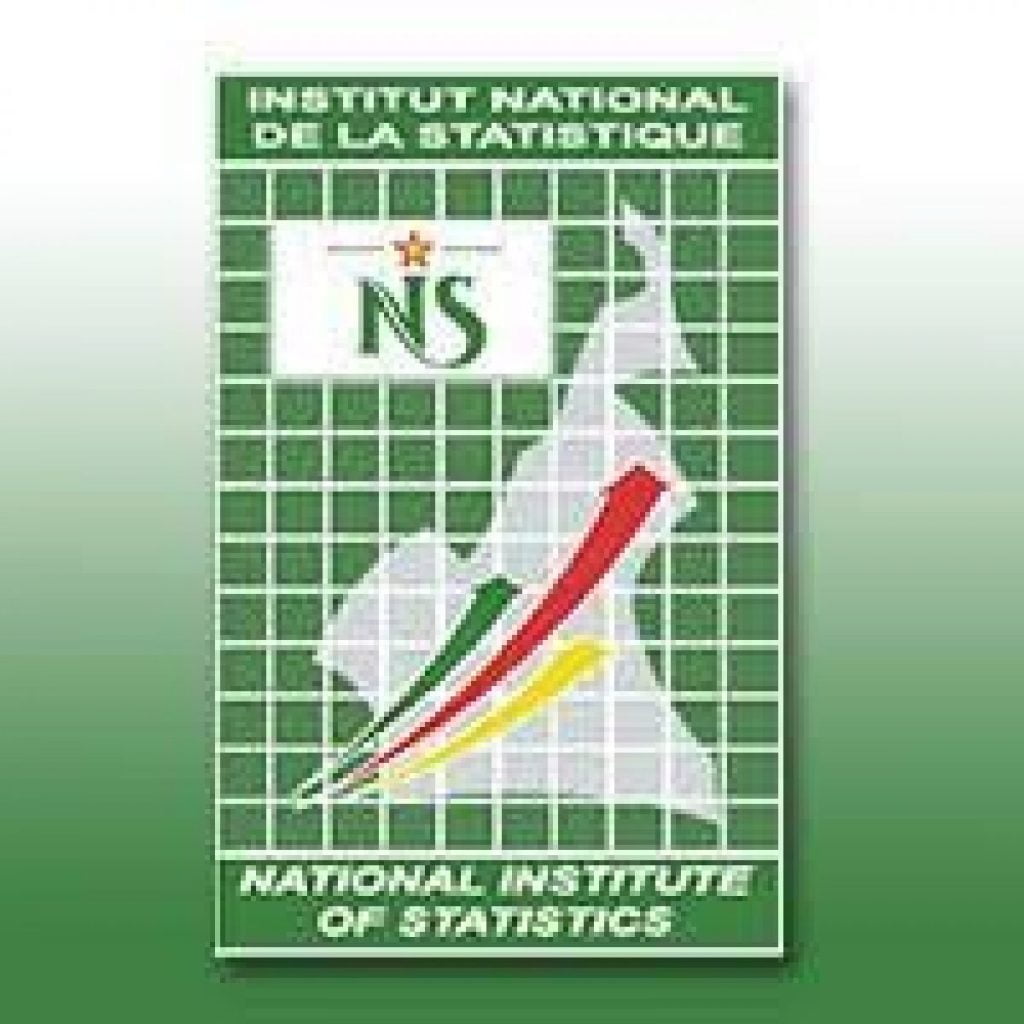 Recrutement INS Cameroun institut-National-de-la-Statistique