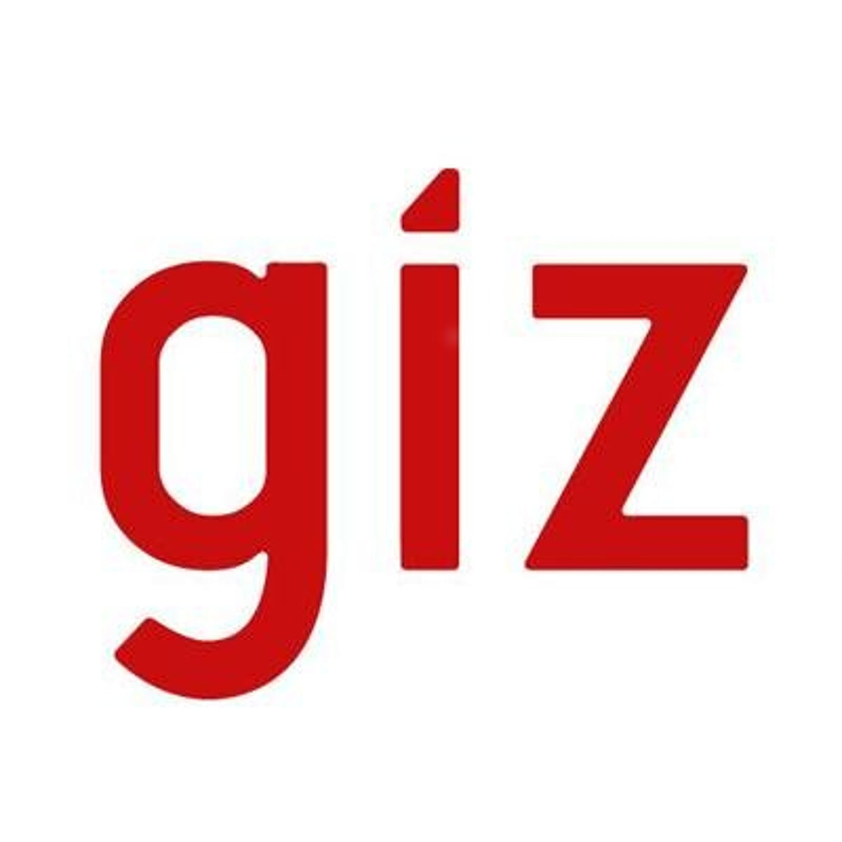 GIZ Cameroun