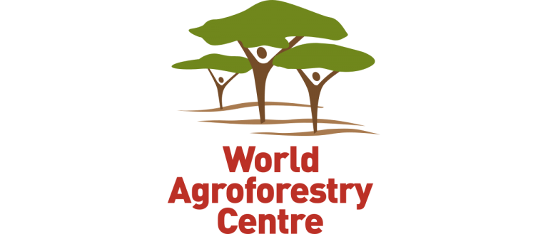 Icraf The World Agroforestry Centre Innovation Facilitator World Agroforestry Center Louma 6107