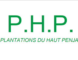 PHP planatation du Haut penja