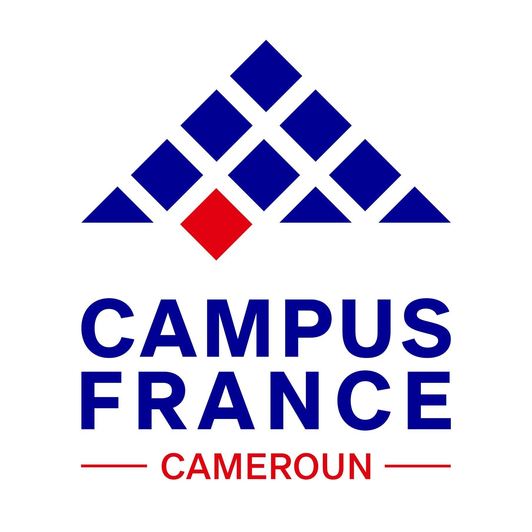 Les ONG Qui Recrutent Au Cameroun  Louma Jobs Cameroun