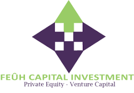 Feuh Capital Investment LLC