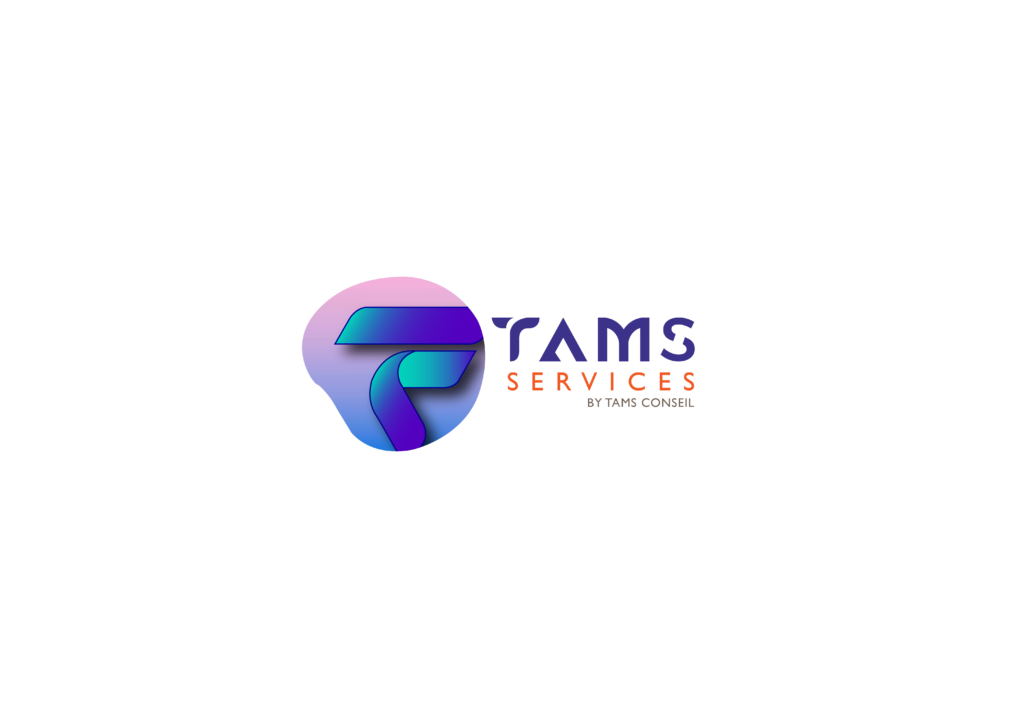 Tamis services logo
