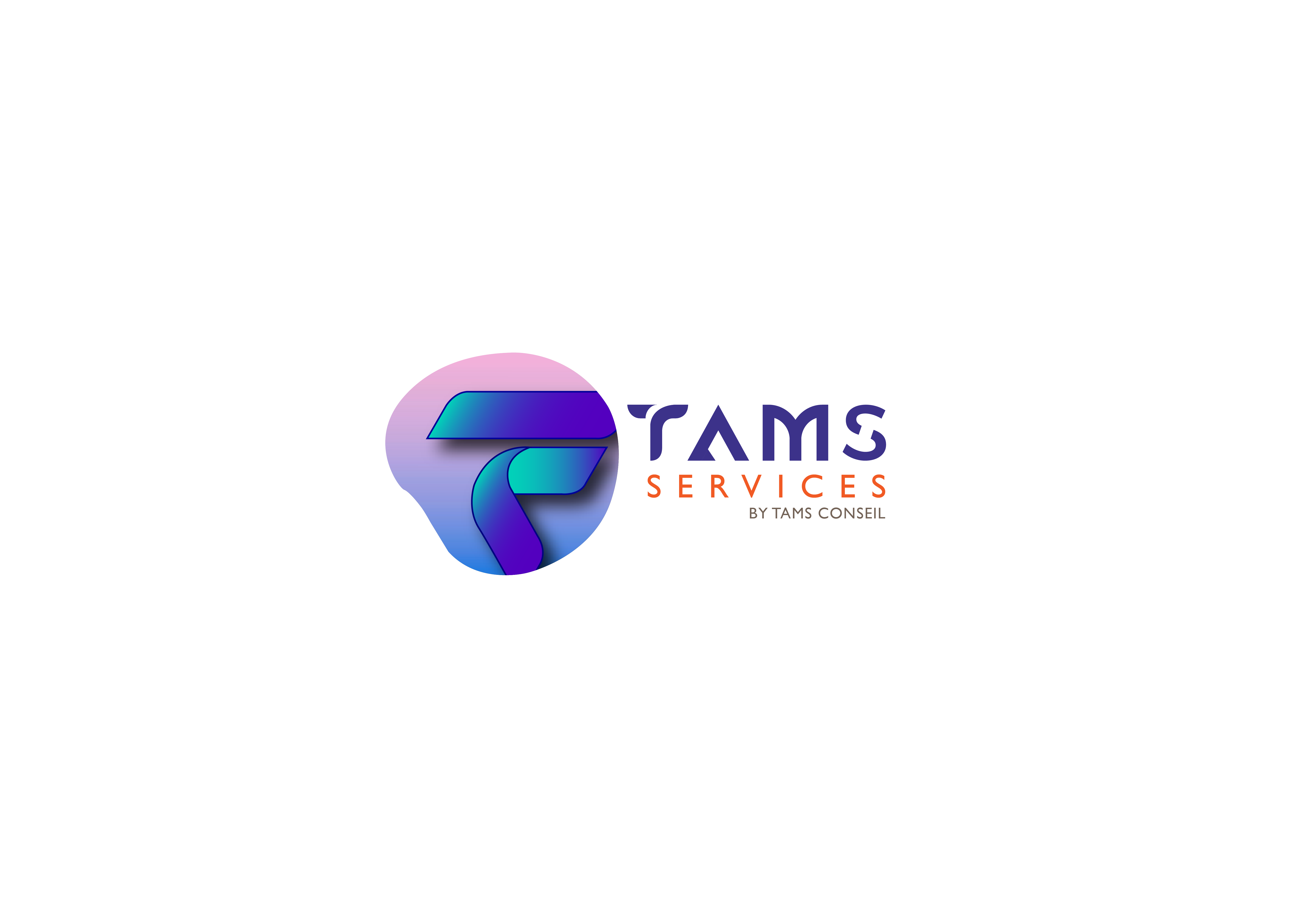 Tamis services logo