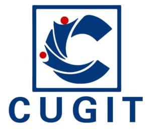 CUGIT Consulting