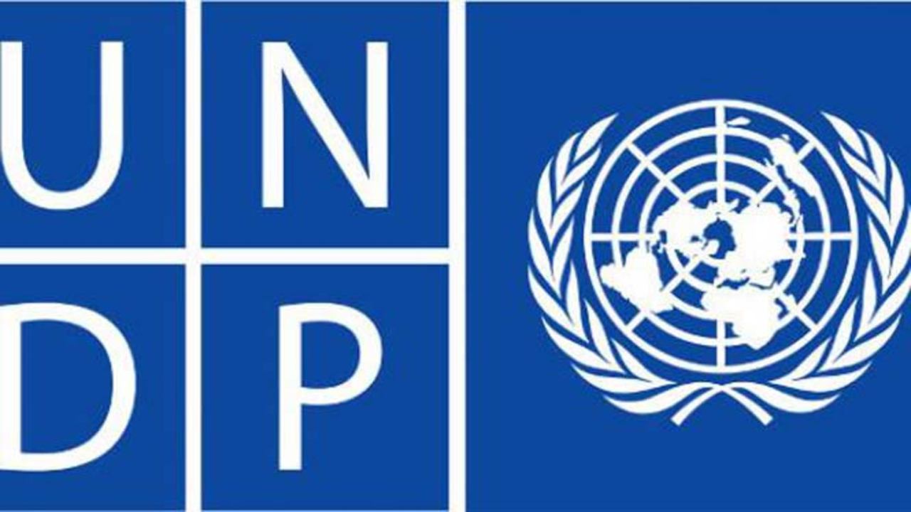 Regional Coordinator Undp Louma Jobs Cameroun