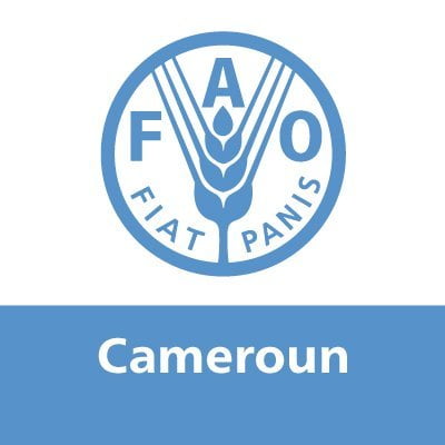 National Monitoring And Evaluation M E Specialist Fao Food And Agriculture Organization Of The United Nations Louma Jobs Cameroun