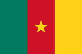 drapeau du cameroun | concours info